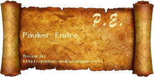 Pauker Endre névjegykártya