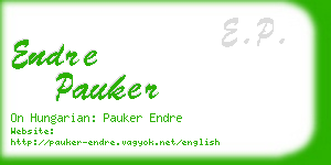 endre pauker business card